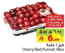 Cherry Red Punnet/Box