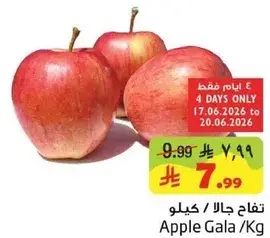 تفاح جالا / كيلو