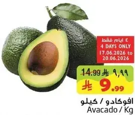 Avocado / Kg