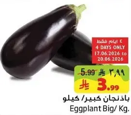 باذنجان كبير / كيلو