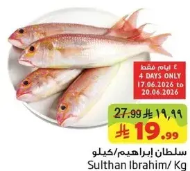 سلطان ابراهيم/كيلو
