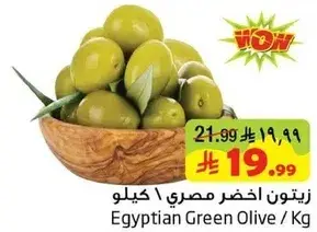 Egyptian Green Olive