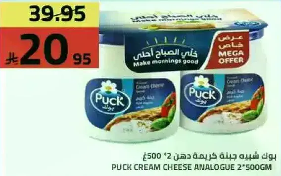 بوك شبيه جبنه كريمه 500 غ 2 قطعه