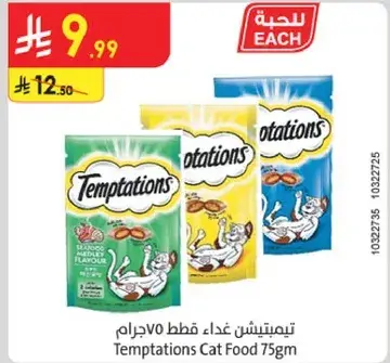 تمبتيشن طعام قطط 75 جرام