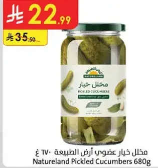 مخلل خيار عضوي ارض الطبيعه 680 غ