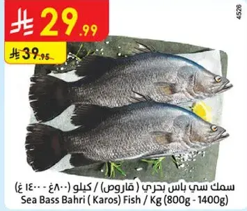 سمك سي باس بحري (كاروس) / كيلو (800-1400 جرام)