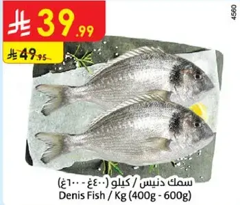 سمك دنيس / كيلو (400-600 جرام)