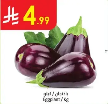 باذنجان / كيلو