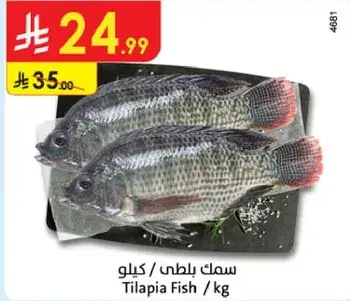 Tilapia Fish /kg