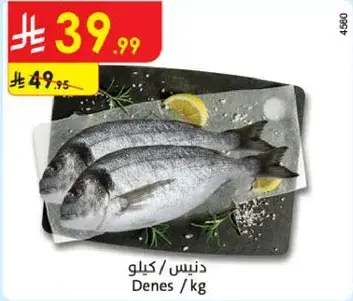 Denes /kg