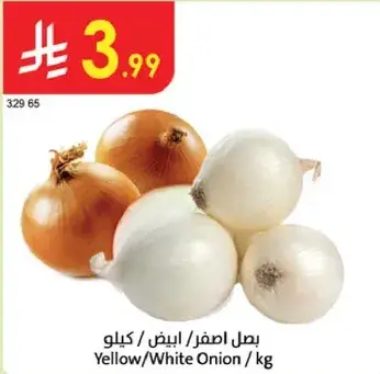 بصل اصفر/ابيض / كيلو