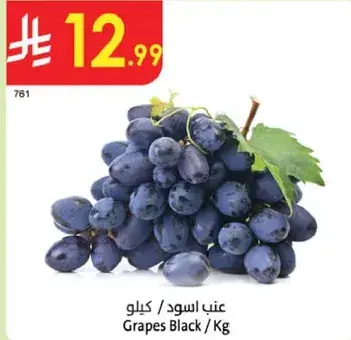 عنب اسود / كيلو