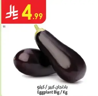بادنجان كبير / كيلو