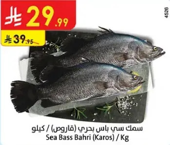 Sea Bass Bahri (Karos) / Kg