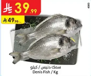 سمك دنيس / كيلو