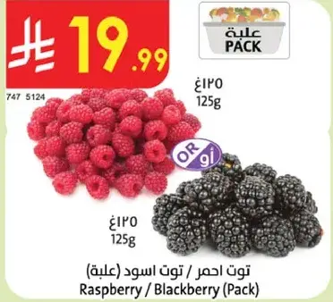 توت احمر / توت اسود (علبه)