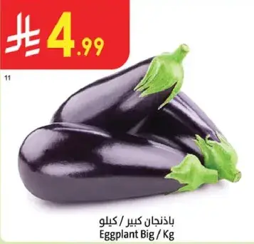 بادنجان كبير / كيلو