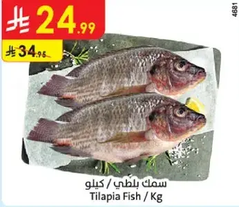 سمك بلطي كيلو