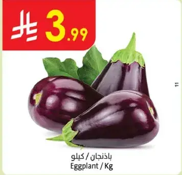 بادنجان / كيلو