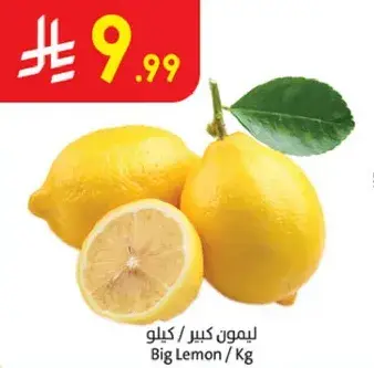 ليمون كبير / كيلو