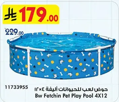 Bw Fetchin Pet Play Pool 4X12