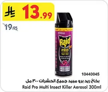Raid Pro Multi Insect Killer Aerosol 300ml