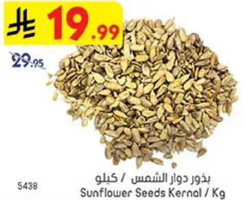 بذور دوار الشمس / كيلو