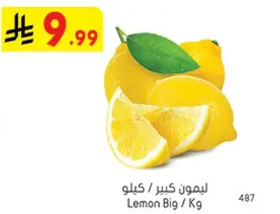 ليمون كبير / كيلو