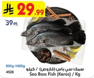Sea Bass Fish / Kg