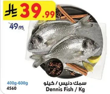 Dennis Fish / Kg