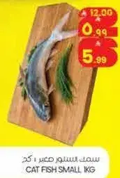 سمك السلور صغير 1 كجم