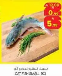 سمك سمر صغير 1 كجم