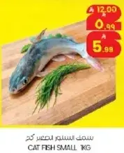 سمك السلور الصغير 1 كجم