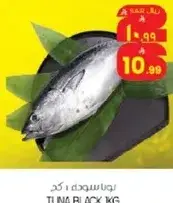 تونه سوداء كجم