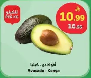 افوكادو - كينيا