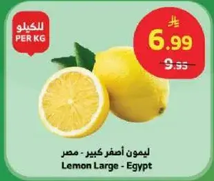 ليمون كبير - مصر