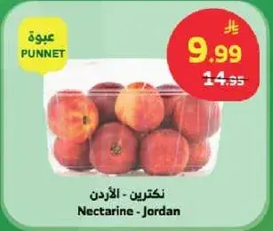نكتارين - الاردني