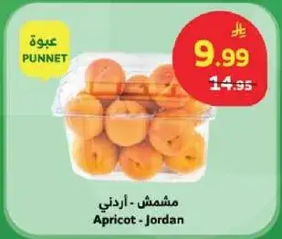 مشمش - اردني