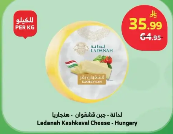 لادنه - جبن قشقوان - هنغاريا