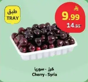 كزر - سوريا