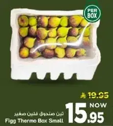 تين صندوق فلين صغير