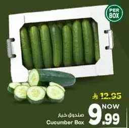 صندوق خيار