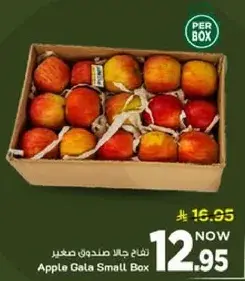 تفاح جالا صندوق صغير