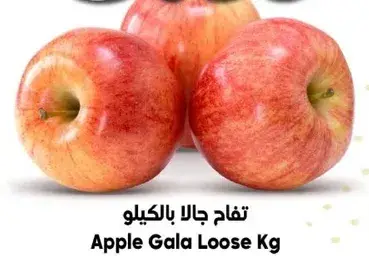 تفاح جالا بالكيلو