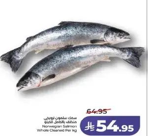 سمك سالمون نرويجي منقح بالكامل للكيله