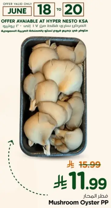فطر اويستر