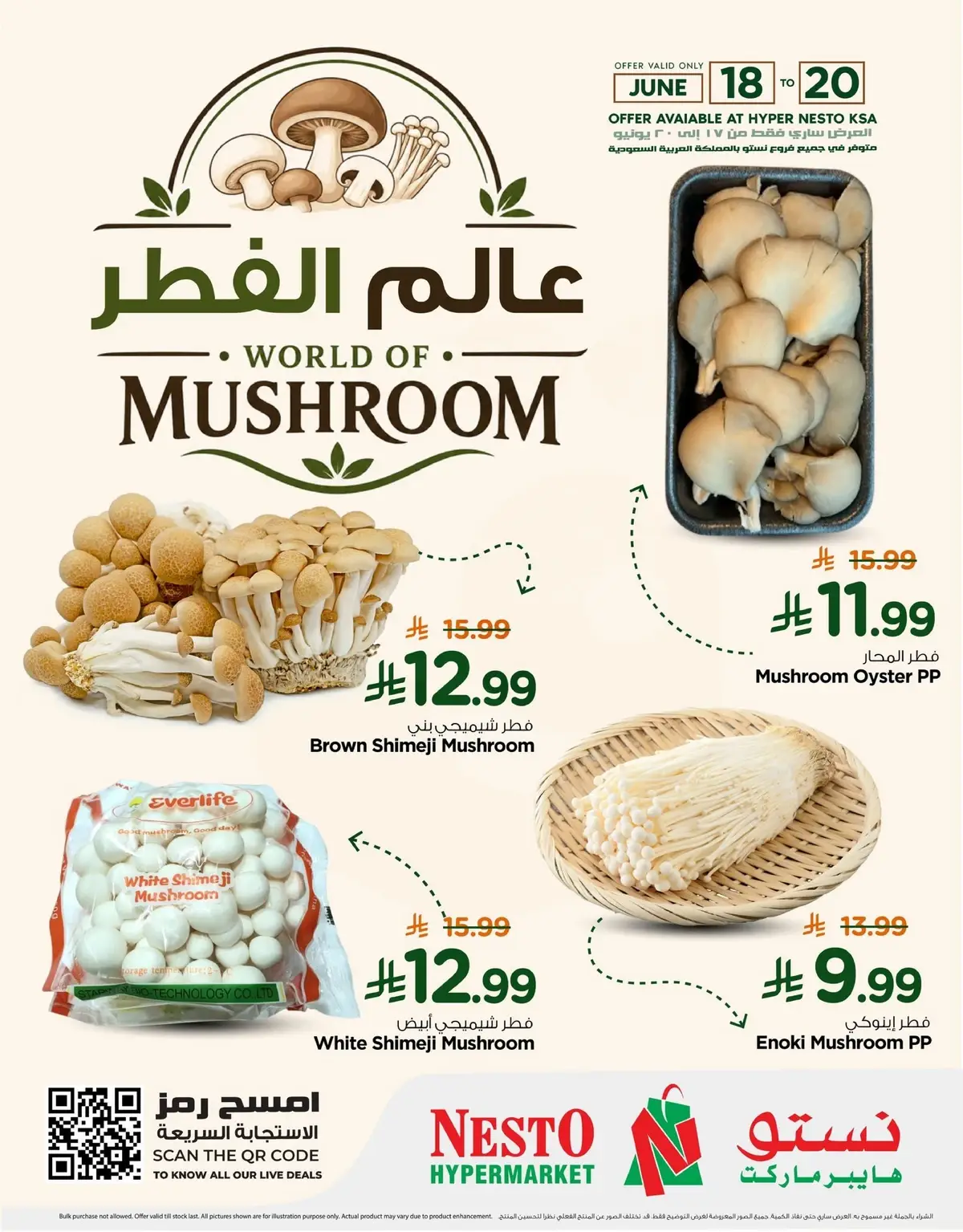 EXCLUSIVE DEALS - Page 2