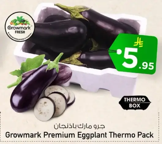 Growmark Premium Eggplant Thermo Pack