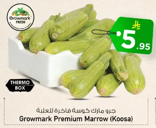 Growmark Premium Marrow (Koosa) Thermo Pack