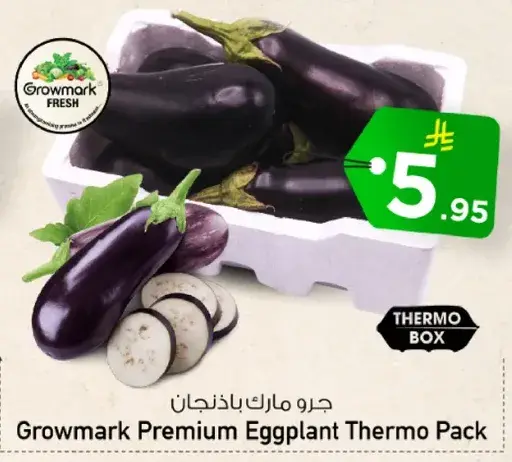 Growmark Premium Eggplant Thermo Pack